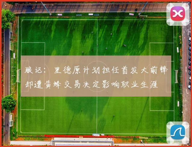 狼记：里德原计划担任首发大前锋却遭黄蜂交易决定影响职业生涯